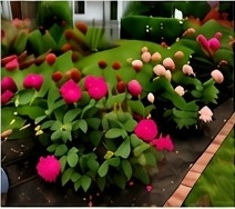 Flowering garden bed