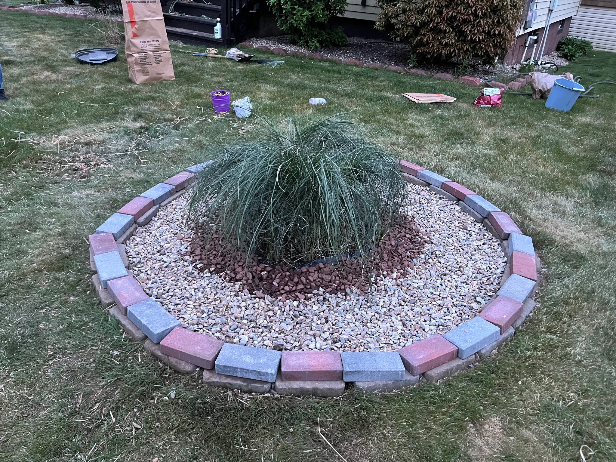Plants arranged in containers on a patio